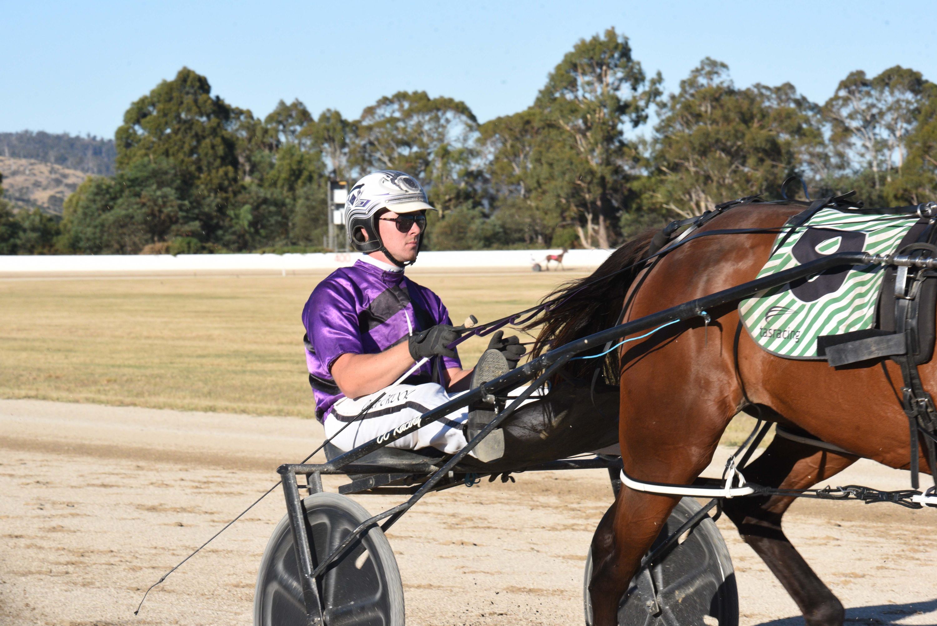 Crook, Chibnall ready to set up camp in Shepparton Harness Racing